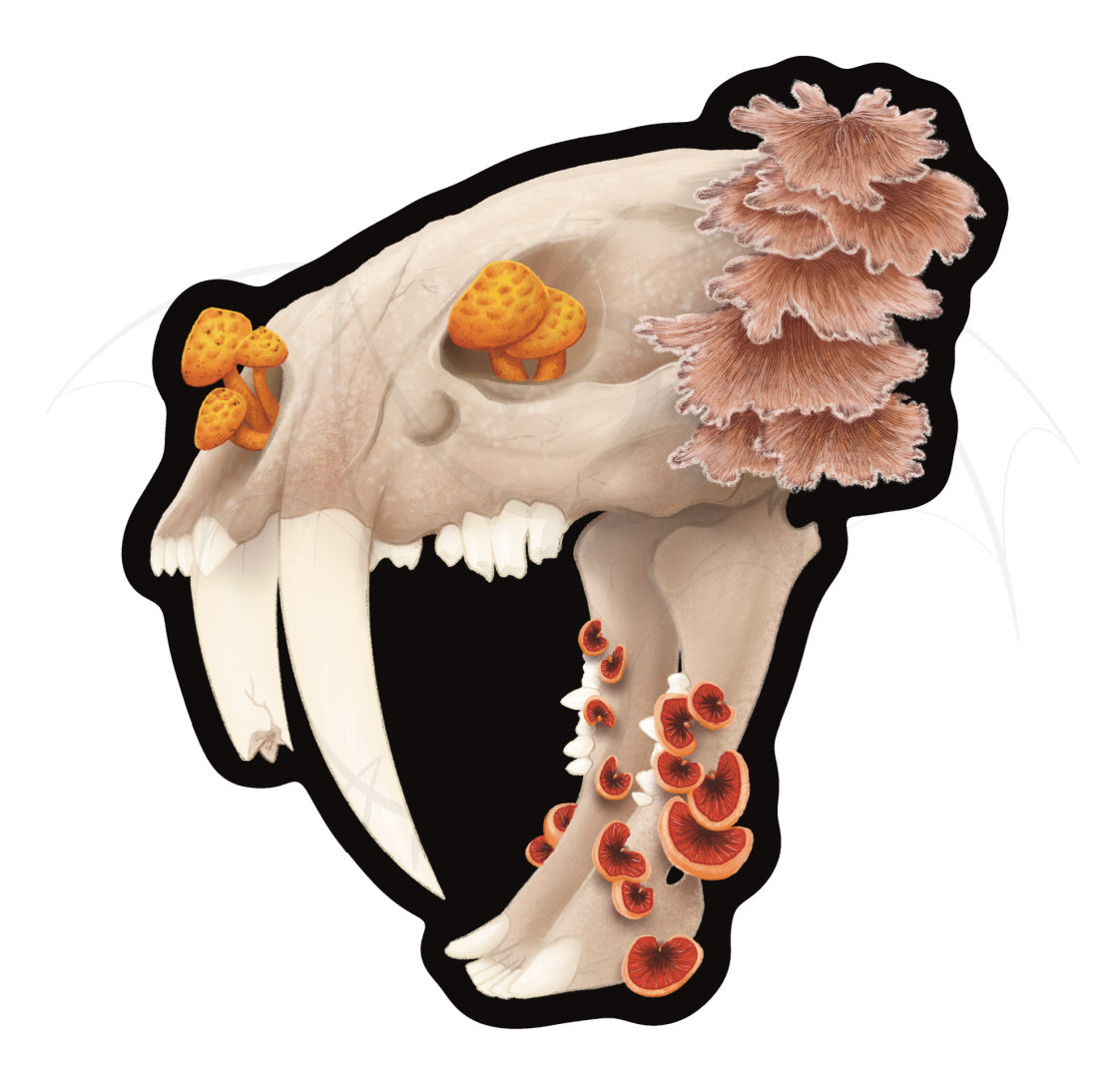 Fungal Sabertooth Skull - Vinyl Die Cut Sticker