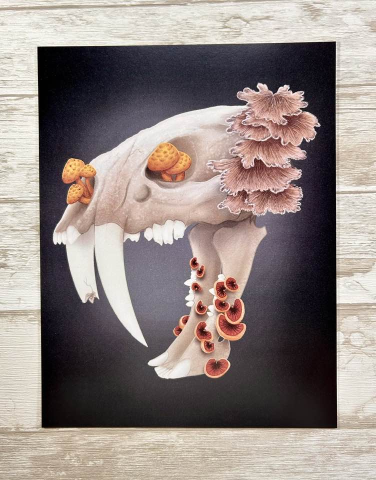 Fungal Sabertooth Skull - Art Print