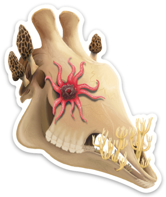 Fungal Giraffe Skull Die Cut Sticker