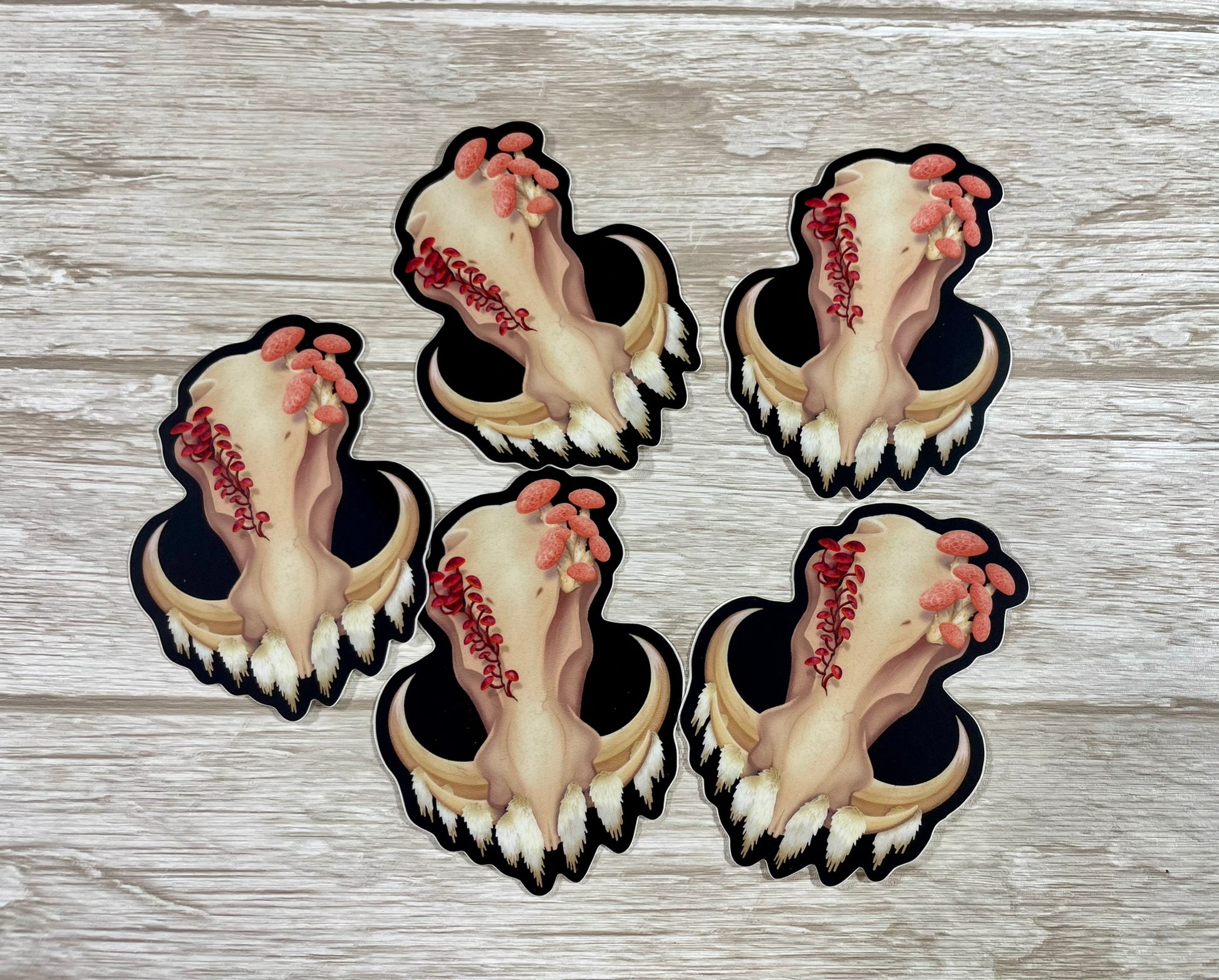 Multiple die cut, 3 inch tall, vinyl stickers featuring a front facing warthog skull with 3 different kinds of fungi growing out of it