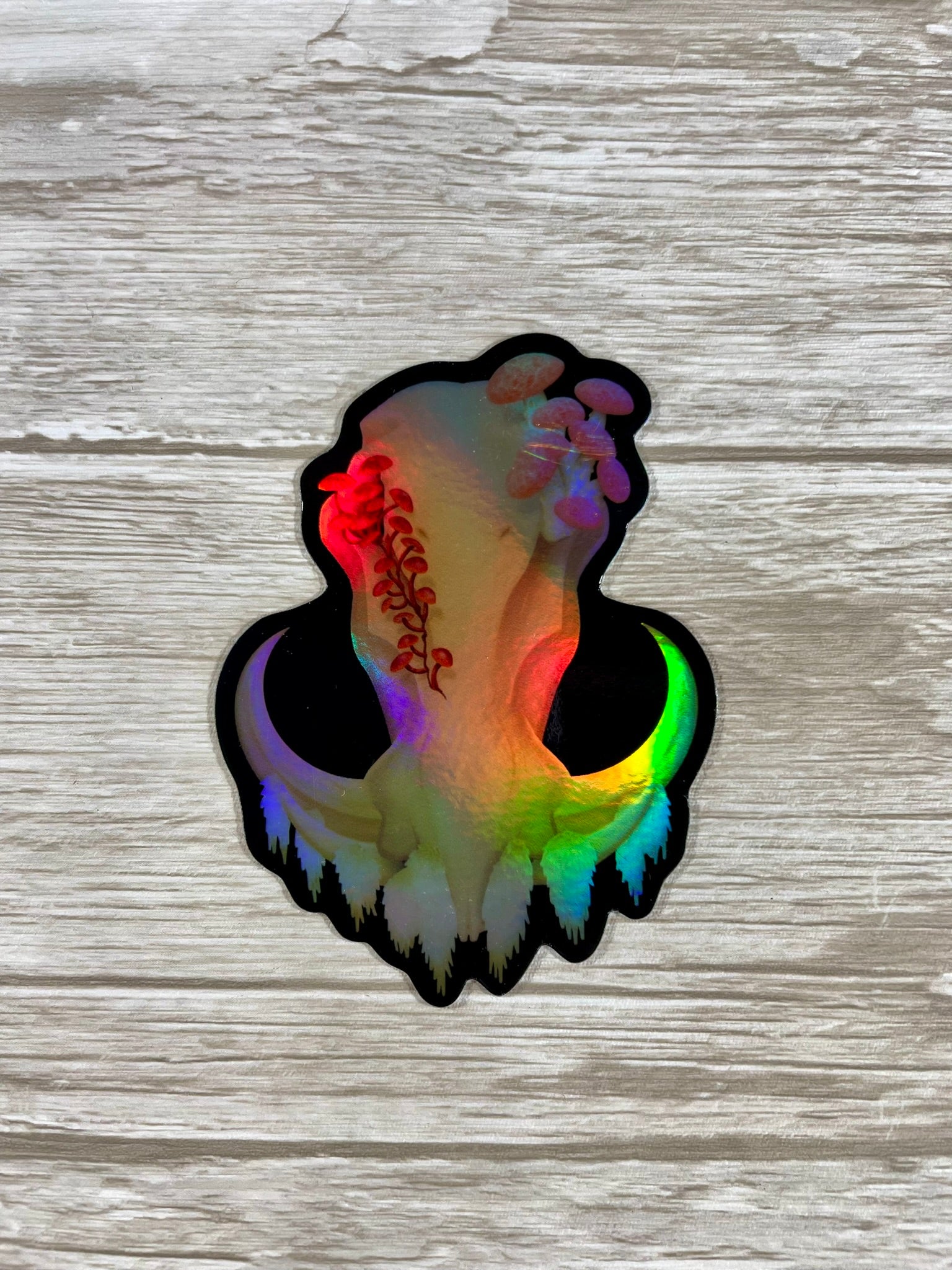 A holographic, die cut, 3 inch tall, vinyl sticker featuring a front facing warthog skull with 3 different kinds of fungi growing out of it