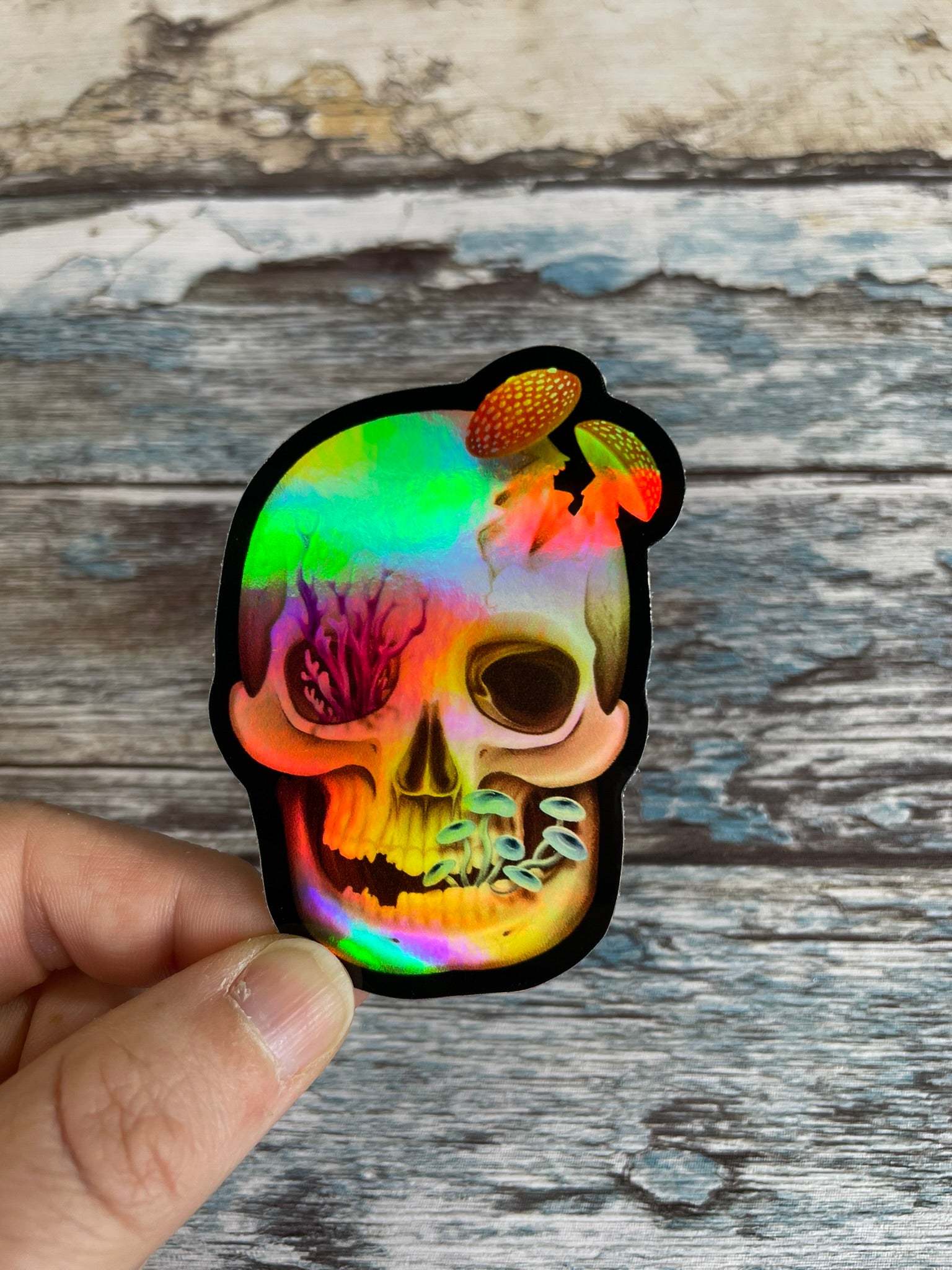 Hand holding a 3 inch by 2.09 inch human skull holographic vinyl sticker that has various fungi growing out of it