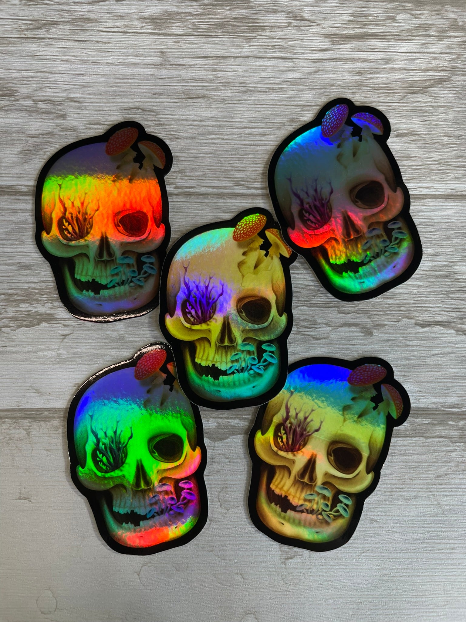 Group of flat laying 3 inch by 2.09 inch human skull holographic vinyl sticker that has various fungi growing out of it