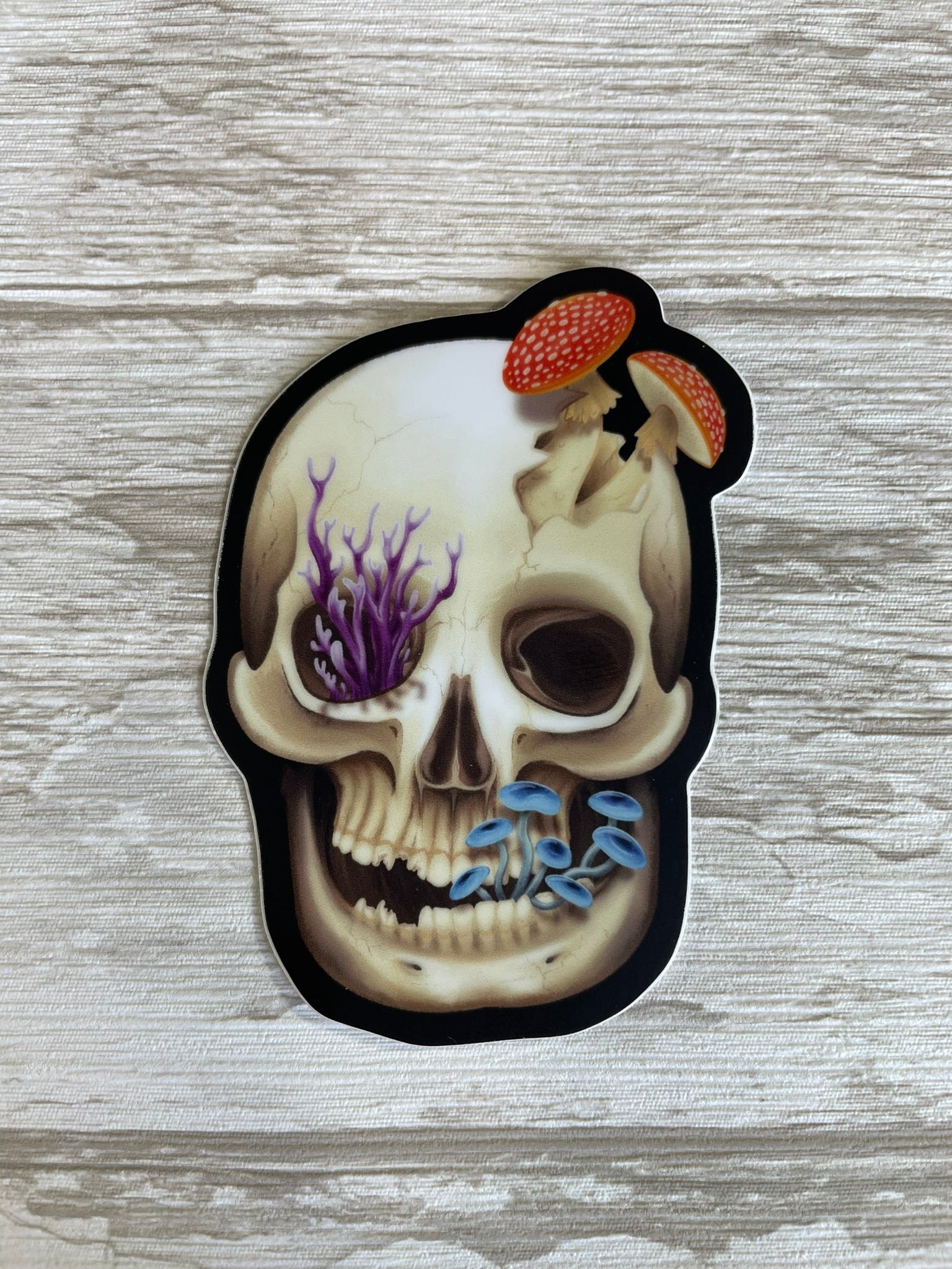 A flat laying 3 inch by 2.09 inch matte finish human skull vinyl sticker that has various fungi growing out of it