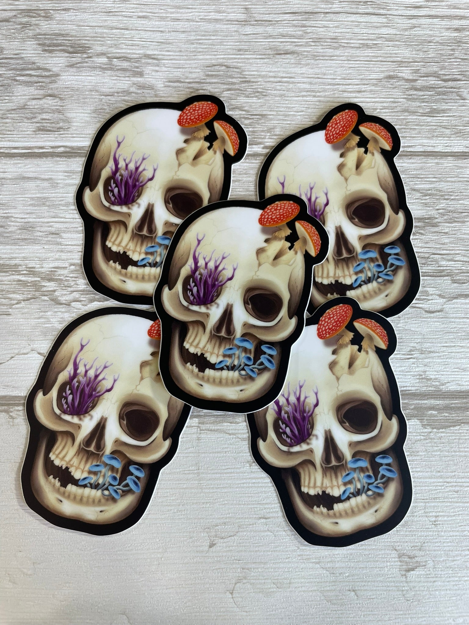 A group of 3 inch by 2.09 inch matte finish human skull vinyl stickers that have various fungi growing out of them