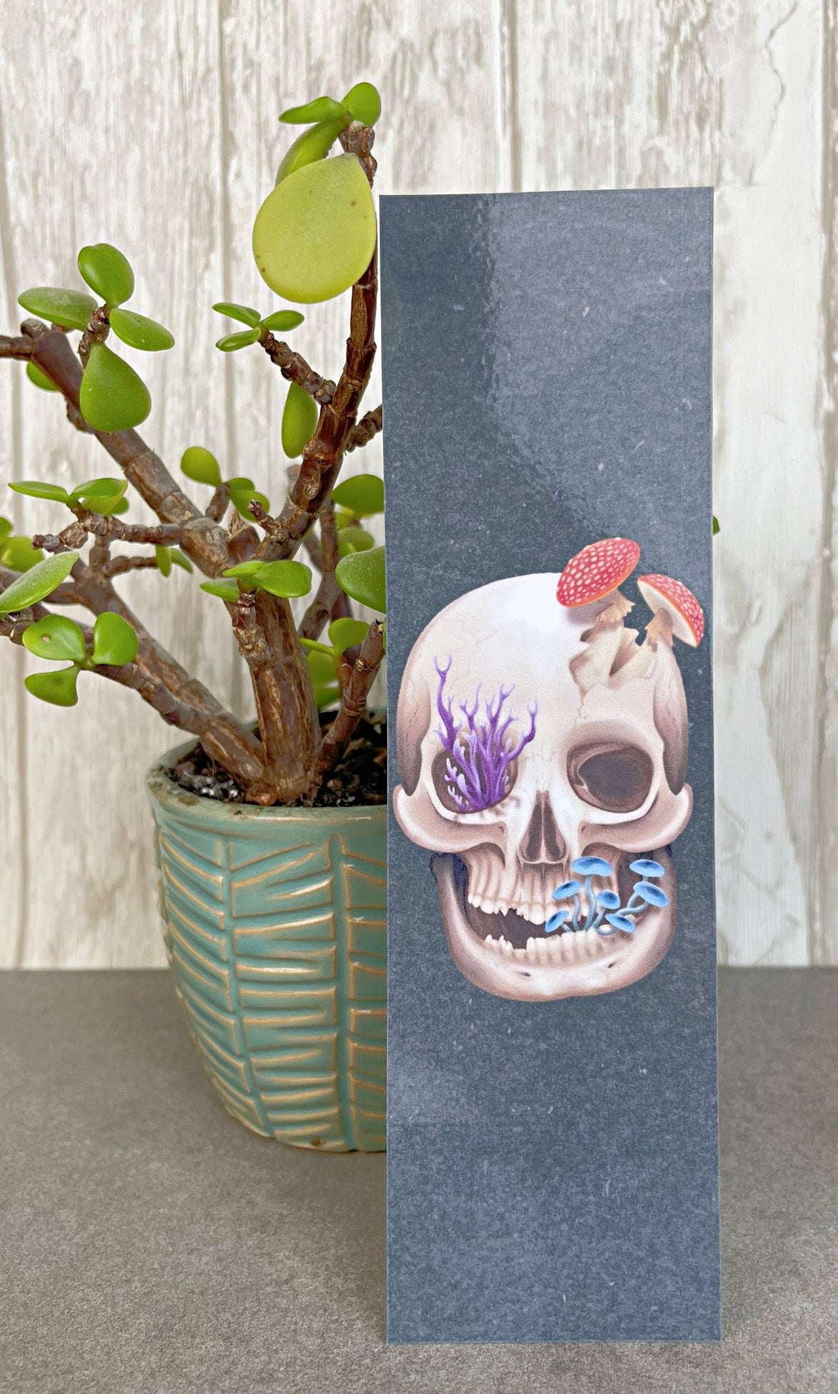 Fungal Human Skull - Bookmarks